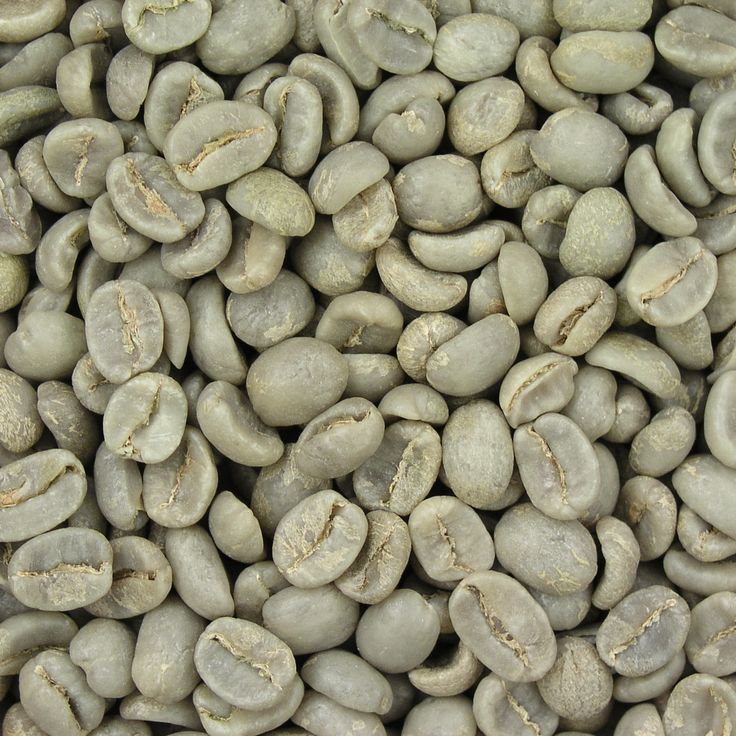 Arabica Plantation AA (Washed)